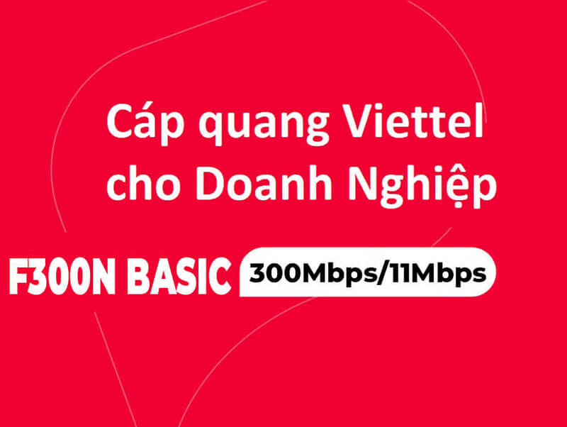 Gói cước Internet F300N BASIC Viettel dành cho doanh nghiệp