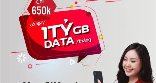 Sim Data Viettel Không giới hạn dung lượng 1 năm giá 650k